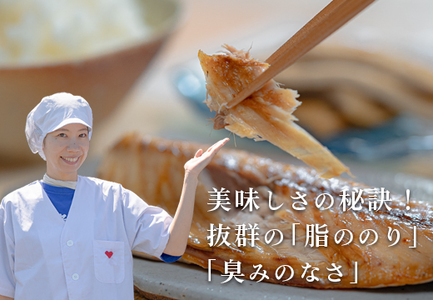 海の幸 干物セット 詰め合わせ 9～12品入り 鯛 うるめ あじ さば ぶり 朝食 弁当 夕食