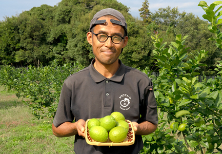こじゃんとレモン 4kg