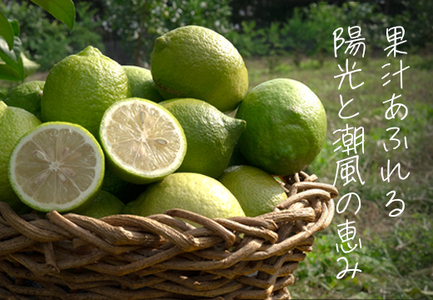 こじゃんとレモン 4kg