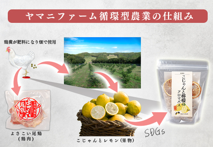 こじゃんとレモン 4kg