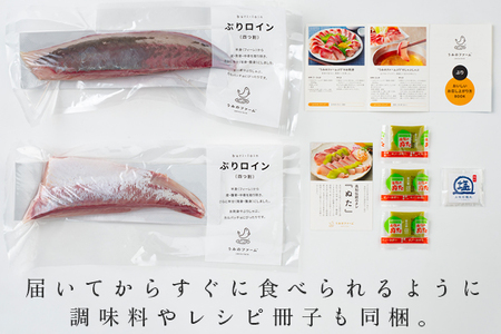 【定期便4回】冷蔵 養殖ぶり 2柵 セット 朝〆 鰤 ブリ 刺身 生食用 高知県 大月町 産地直送