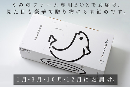 【定期便4回】冷蔵 養殖ぶり 2柵 セット 朝〆 鰤 ブリ 刺身 生食用 高知県 大月町 産地直送