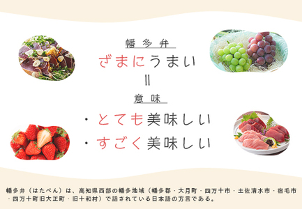 【定期便 12回】ざまにうまい！大月町 特産品セット まぐろ カツオ たたき 果物 豚肉 鶏肉
