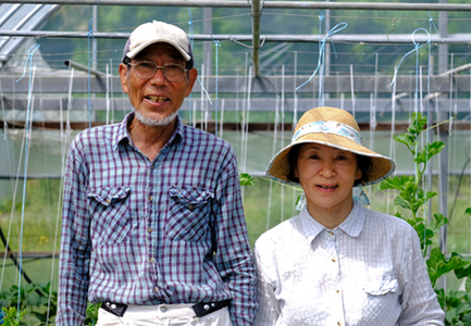 スナップエンドウ 800g  豆 えんどう 産地直送 新鮮 旬の春野菜 厳選 採れたて サラダ 彩り