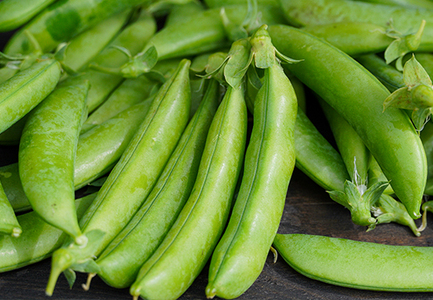 スナップエンドウ 800g  豆 えんどう 産地直送 新鮮 旬の春野菜 厳選 採れたて サラダ 彩り
