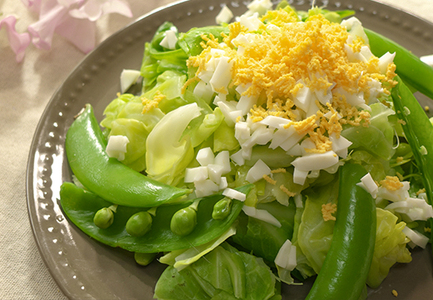 スナップエンドウ 800g  豆 えんどう 産地直送 新鮮 旬の春野菜 厳選 採れたて サラダ 彩り