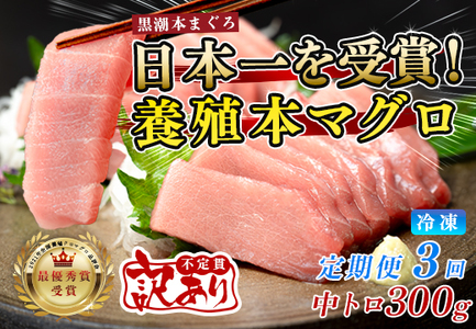 訳あり まぐろ マグロ 本鮪 黒潮本まぐろ 中トロ 定期便 3回 300g × 3回 刺身 さしみ 最優秀賞 全国養殖クロマグロ品評会 受賞 魚 魚介類 海鮮 柵 サク 冷凍 お取り寄せ 産地直送 ギフト 贈答  高知県 大月町
