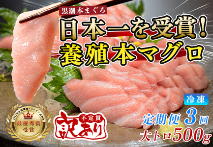 訳あり まぐろ マグロ 本鮪 黒潮本まぐろ 大トロ 定期便 3回 500g × 3回 刺身 さしみ 最優秀賞 全国養殖クロマグロ品評会 受賞 魚 魚介類 海鮮 柵 サク 冷凍 お取り寄せ 産地直送 ギフト 贈答  高知県 大月町