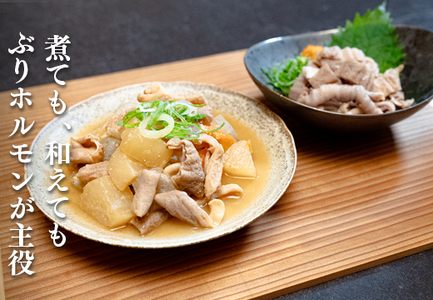 ぶりホルモン 1kg 希少部位 ブリ 鰤 ぶり ブリホルモン 養殖 活締め ホルモン 海鮮 魚介 魚 海産物 冷凍 おつまみ 内臓 珍味 漁師飯 新鮮 下処理済み 産地直送 おいしい 人気 おすすめ 大容量 高知 高知県