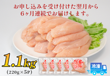 鶏肉 ささみ 1.1kg 定期便 6回 (1.1kg×6回) 鶏ささみ ササミ チキン 若鶏 ブランド鶏 最優秀賞 天皇杯 受賞 小分け 冷凍 骨なし お弁当 ササミフライ 梅しそ 筋トレ 高たんぱく 6.6kg 大容量 よさこい尾鶏 高知県 大月町
