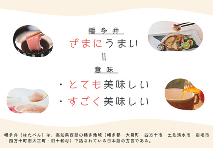 【定期便 12回】ざまにうまい!大月町の特産品