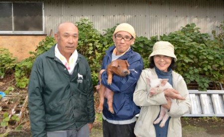 【高知県 大月町産ブランド豚】力豚もも　しゃぶしゃぶ1.2kg