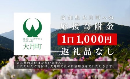 高知県大月町への応援寄付金【返礼品なし】