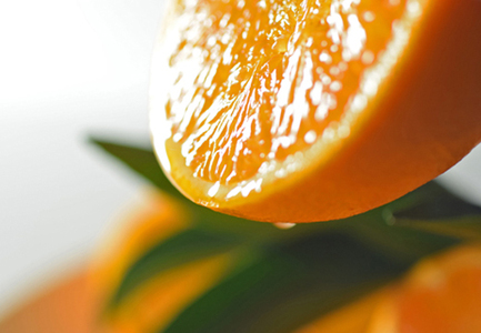 せとか 約3kg 贈答用 高知県産 ハウス栽培