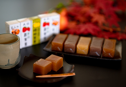 【大月の銘菓】ミニ羊羹セット(5本入×2)