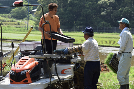 【高知県 大月町産 ブランド米】春遠米(ヒノヒカリ)　10kg