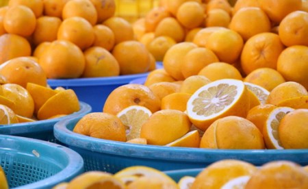柑橘「河内ばんかん」ジュース1本とゼリー8個のセット