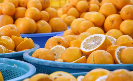 柑橘「河内ばんかん」ジュース3本とゼリー10個のセット