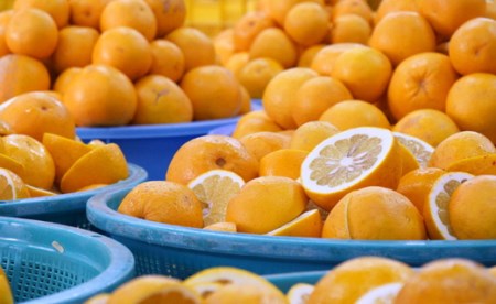 柑橘「河内ばんかん」ジュース3本セット