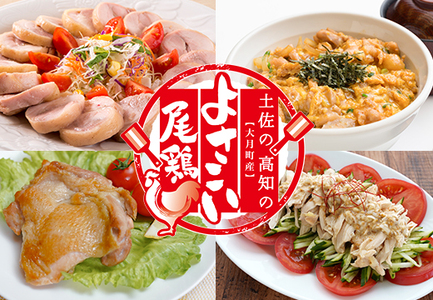 国産 鶏ささみ 2.2kg (220g×10P) 小分け 冷凍 高たんぱく 低脂質 よさこい尾鶏