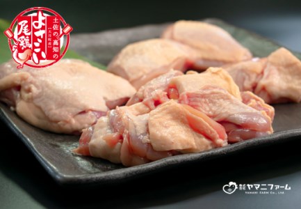 【大月町のブランド鶏】よさこい尾鶏 もも肉角切り(300g)×9パック