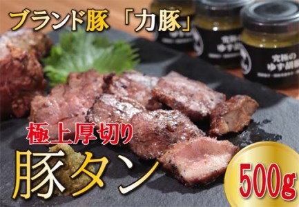 高知県産 力豚 厚切り豚タン 500g 焼肉 BBQ おつまみ ギフト用 国産 ブランド豚 真空冷凍