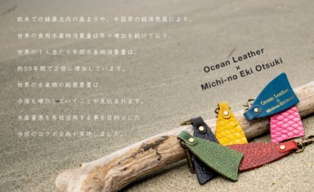 フィッシュレザー フィレ型キーホルダー【マグロ】Black