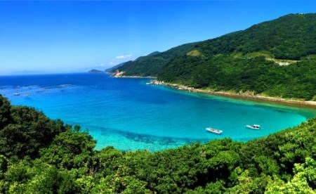 フィッシュレザー フィレ型キーホルダー【マグロ】Black