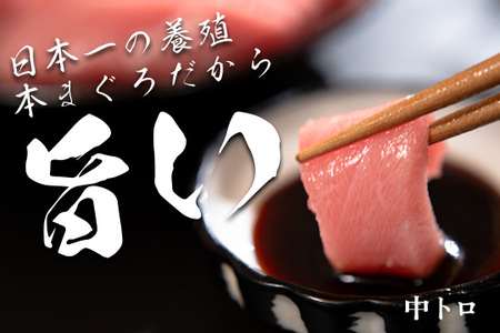 【高知県大月町産 本マグロ】 中トロ150g