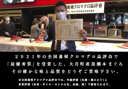 【高知県大月町産 本マグロ】 中トロ150g