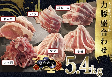 【高知県 大月町産ブランド豚】力豚5.4kg盛り合わせ
