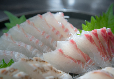 真鯛フィーレ(皮なし×2)計500〜740g 冷蔵 真空 産地直送 下処理不要 刺身・鯛丼向け