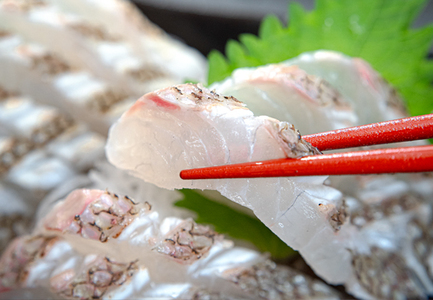 真鯛フィーレ(皮つき×2)計500〜740g 冷蔵 真空 柏島 活〆 湯引き・炙り向け 配達日指定可