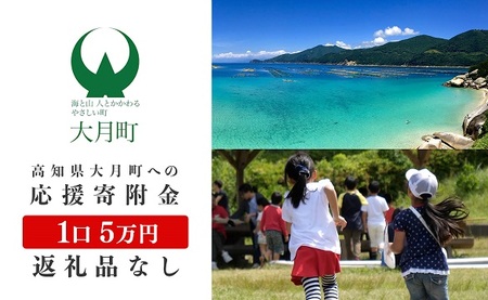高知県大月町への応援寄付金5万円　【返礼品なし】