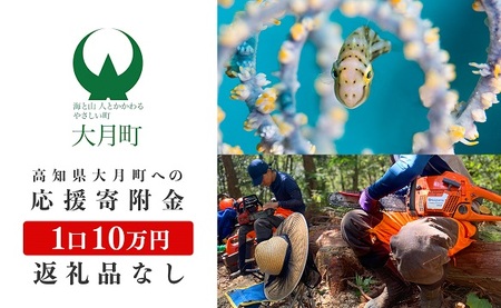 高知県大月町への応援寄付金10万円　【返礼品なし】