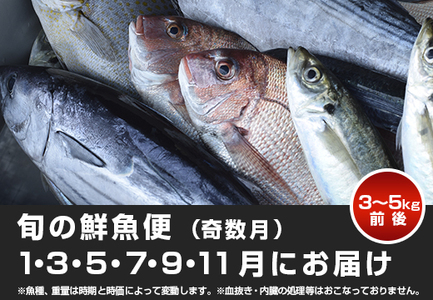 【定期便6回】山田さんちの鮮魚便(奇数月)