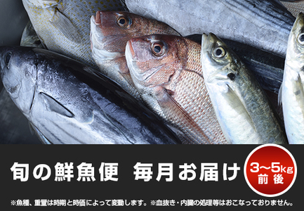 【定期便12回】山田さんちの鮮魚便