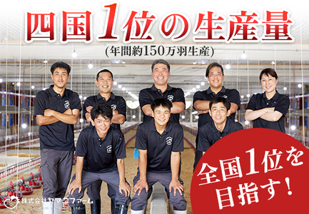 【定期便 12回】よさこい尾鶏 もも肉角切り 900g（300g×3パック）