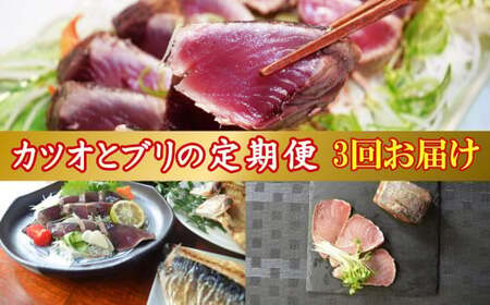 土佐の海からの贈り物！「初・戻り カツオ 」「 天然 ブリ 」「干物」 定期便【3回お届け】［(H)1226-02］