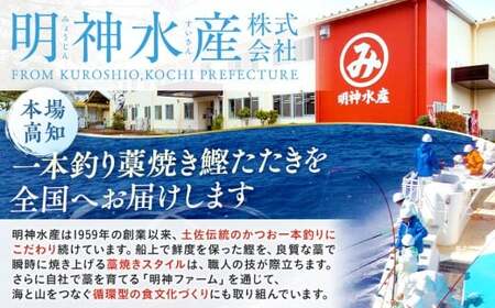 【2回定期便】かつおのたたき 1kg かつおのたたき [(H)1703]