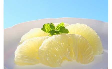 成田果樹園 の 土佐文旦 10kg 家庭用 文旦 訳あり ぶんたん [1688]