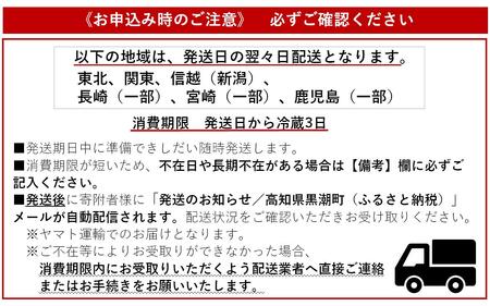 天然 伊勢海老 1.0kg（2～4尾） 黒潮町 ［0302］