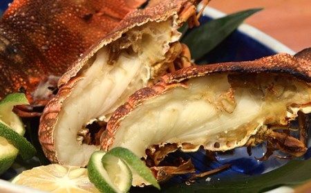 タビエビの活セット　1.0kg（4〜6尾）［1007-2］