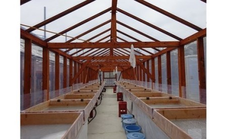 いごてつのにがり　18リットル［1133］