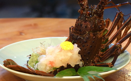 【 伊勢海老 】 天然 伊勢海老 特大 約8kg 9~14尾