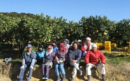 届いてすぐに食べられる 土佐文旦 5kg（ご 家庭用 ） ムッキーちゃん 付き［1462］