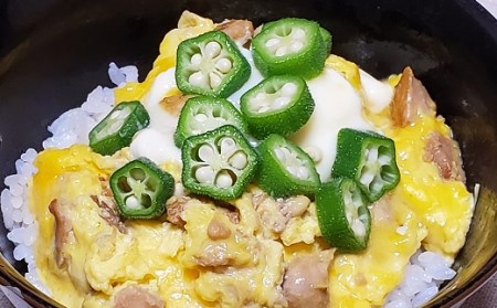 土佐はちきん地鶏 ゆず塩仕立て 缶詰 6缶セット［1469］