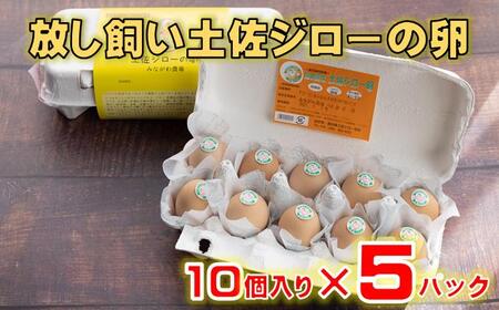 放し飼い土佐ジローの卵　50個入り［1178］