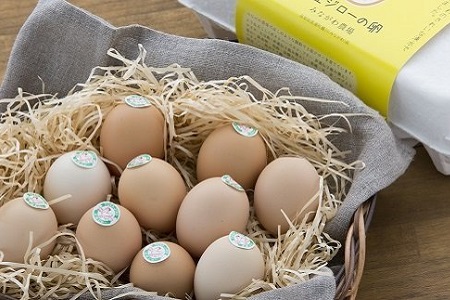 放し飼い土佐ジローの卵　50個入り［1178］