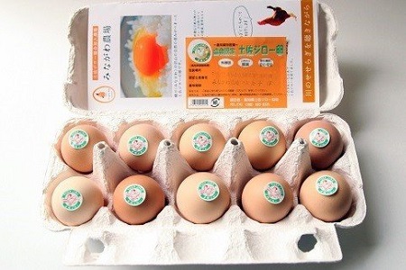 放し飼い土佐ジローの卵　50個入り［1178］